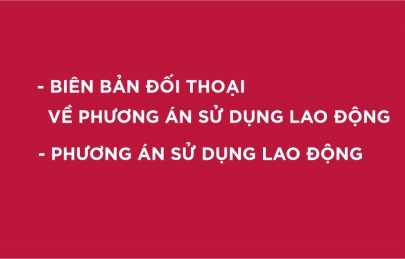 BIÊN BẢN ĐỐI THOẠI VỀ PHƯƠNG ÁN SỬ DỤNG LAO ĐỘNG VÀ PHƯƠNG ÁN SỬ DỤNG LAO ĐỘNG CỦA CÔNG TY DỊCH VỤ AGRIBANK